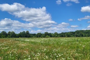 Земельный участок сельскохозяйственного назначения в Якушинцах, площадь 22 сотки фото 2