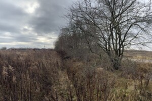 Земельный участок сельскохозяйственного назначения в Якушинцах, площадь 10 соток фото 2