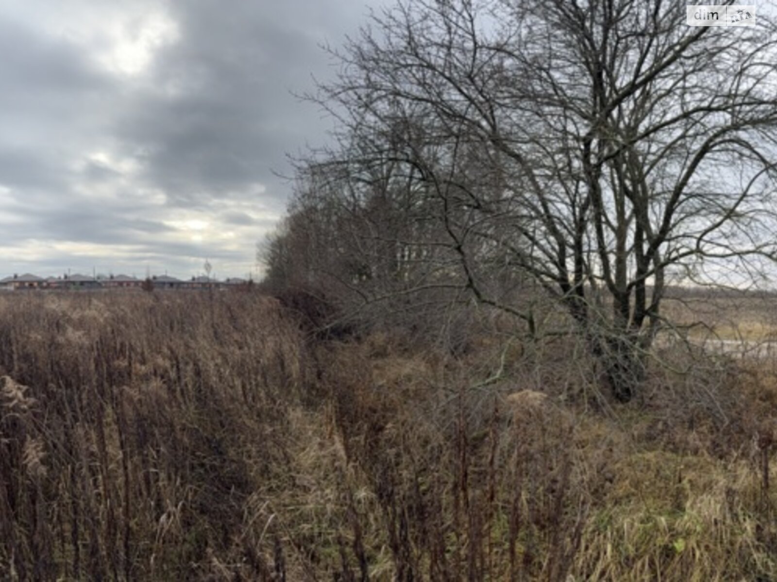 Земельный участок сельскохозяйственного назначения в Якушинцах, площадь 10 соток фото 1