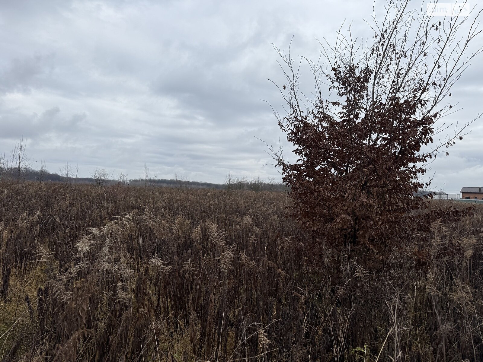 Земельный участок сельскохозяйственного назначения в Якушинцах, площадь 10 соток фото 1