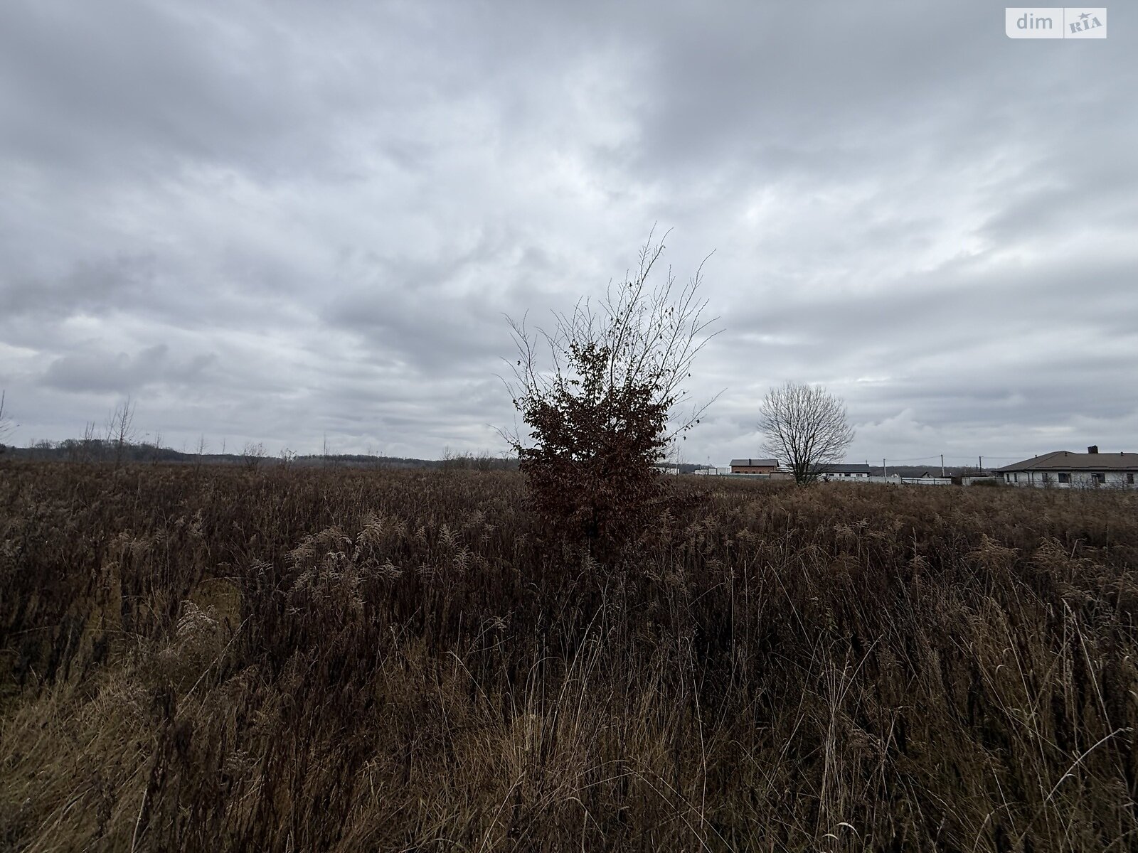 Земельный участок сельскохозяйственного назначения в Якушинцах, площадь 10 соток фото 1