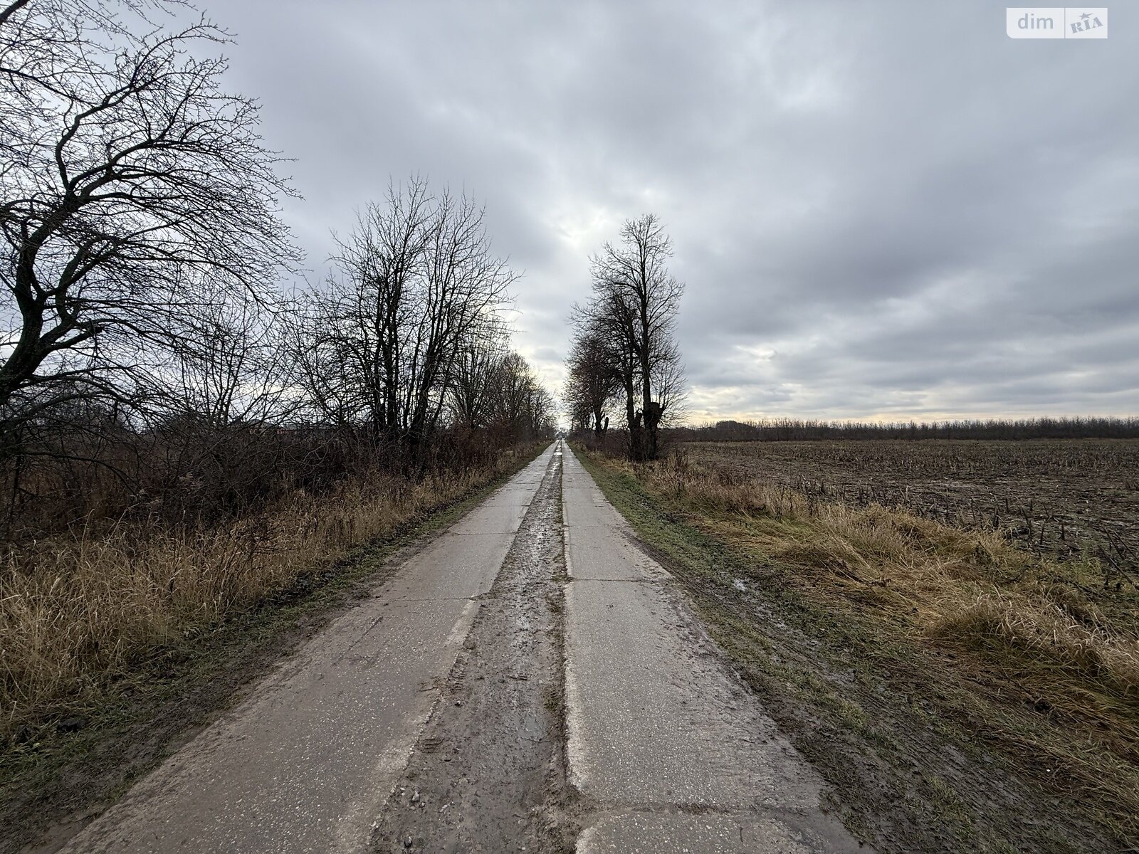 Земельный участок сельскохозяйственного назначения в Якушинцах, площадь 10 соток фото 1