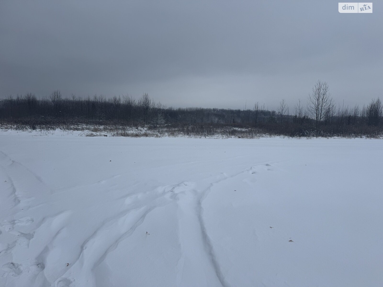 Земельный участок сельскохозяйственного назначения в Якушинцах, площадь 10 соток фото 1