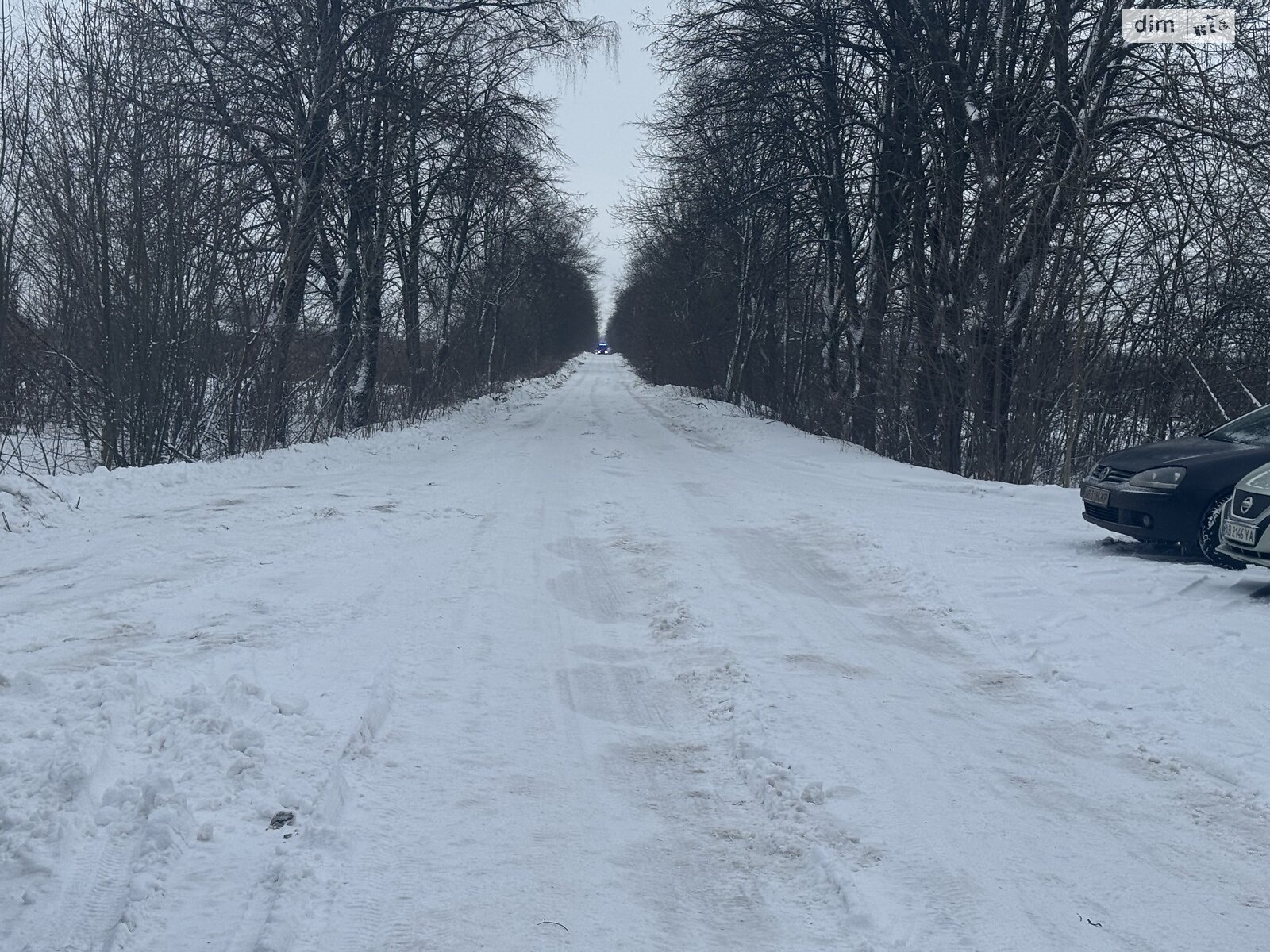 Земельный участок сельскохозяйственного назначения в Якушинцах, площадь 10 соток фото 1