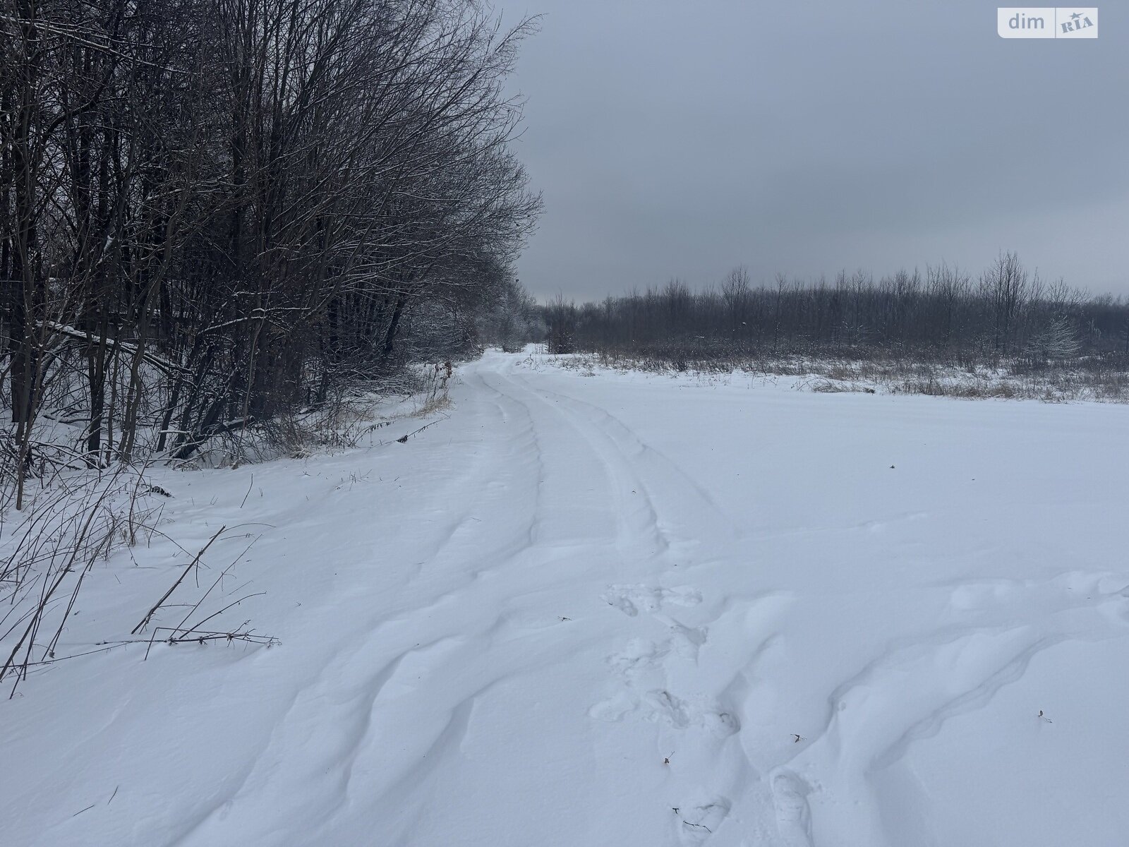 Земельный участок сельскохозяйственного назначения в Якушинцах, площадь 10 соток фото 1