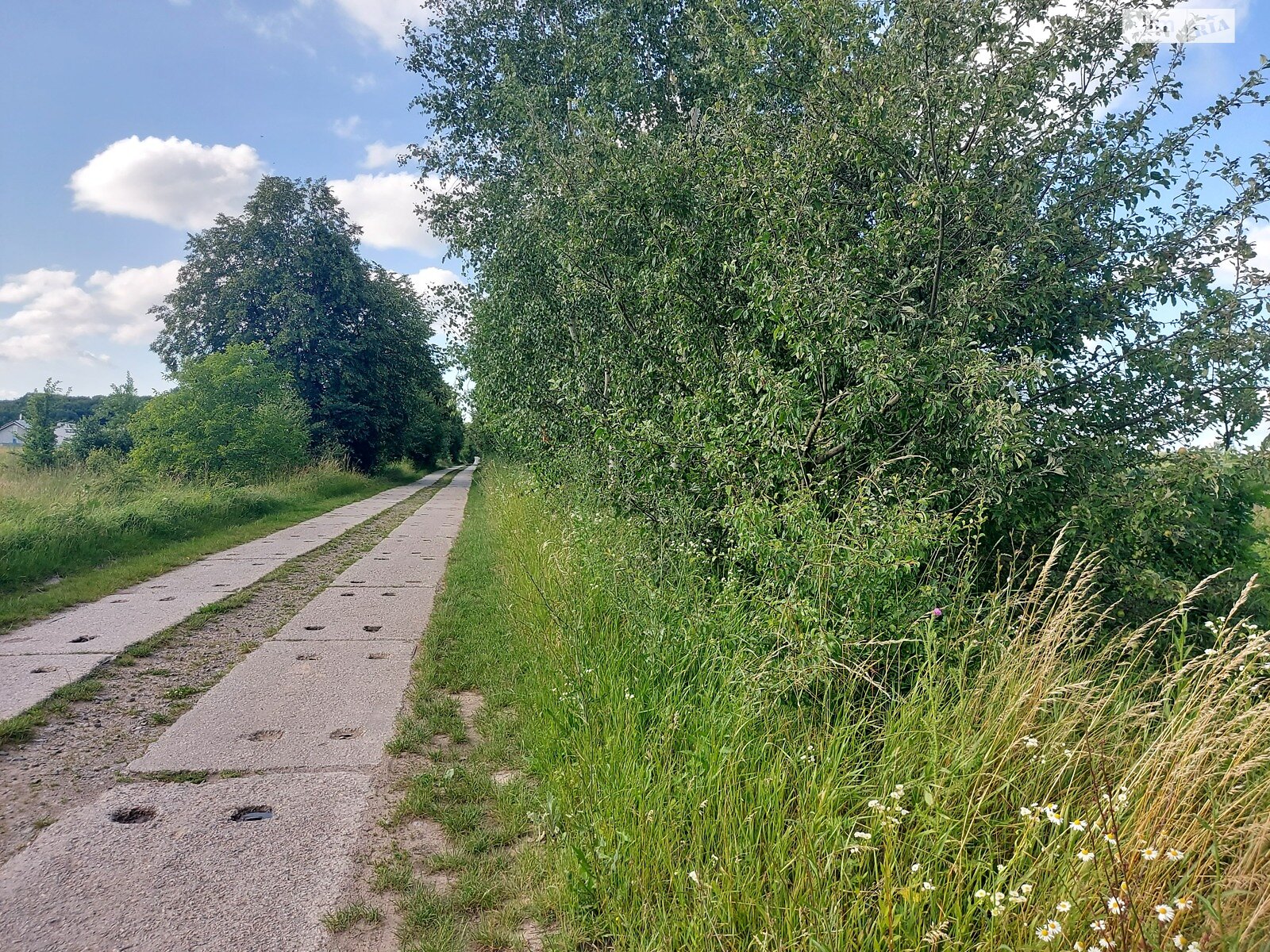 Земельна ділянка сільськогосподарського призначення в Якушинцях, площа 10 соток фото 1