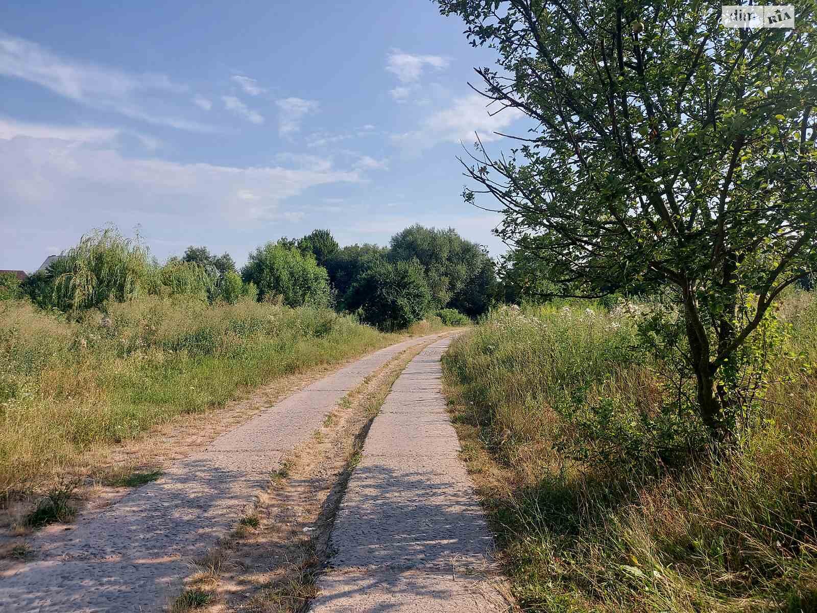 Земельна ділянка сільськогосподарського призначення в Якушинцях, площа 10 соток фото 1 Земельна ділянка сільськогосподарського призначення в Якушинцях, площа 10 соток фото 1