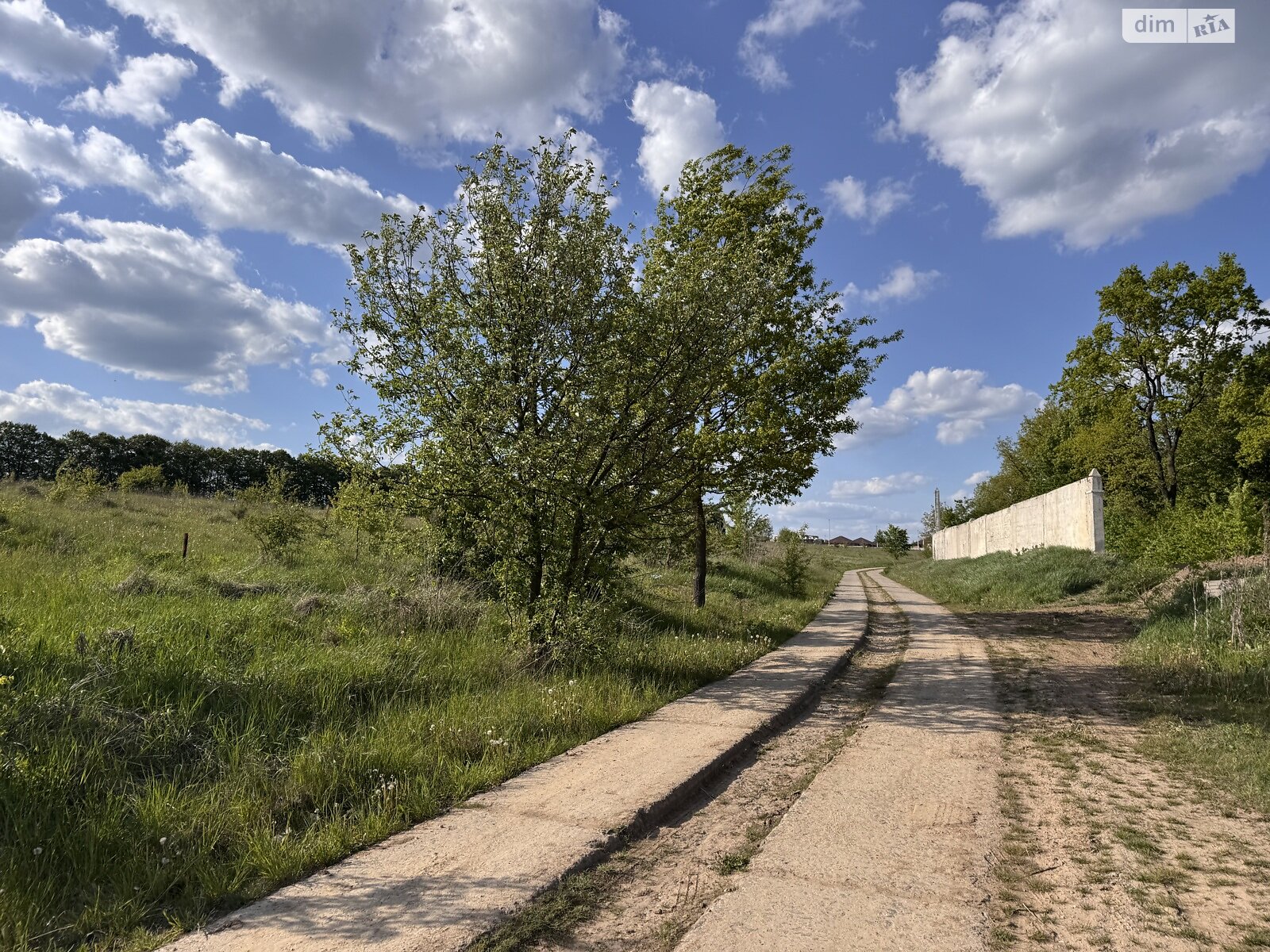 Земельна ділянка сільськогосподарського призначення в Якушинцях, площа 10 соток фото 1 Земельна ділянка сільськогосподарського призначення в Якушинцях, площа 10 соток фото 1