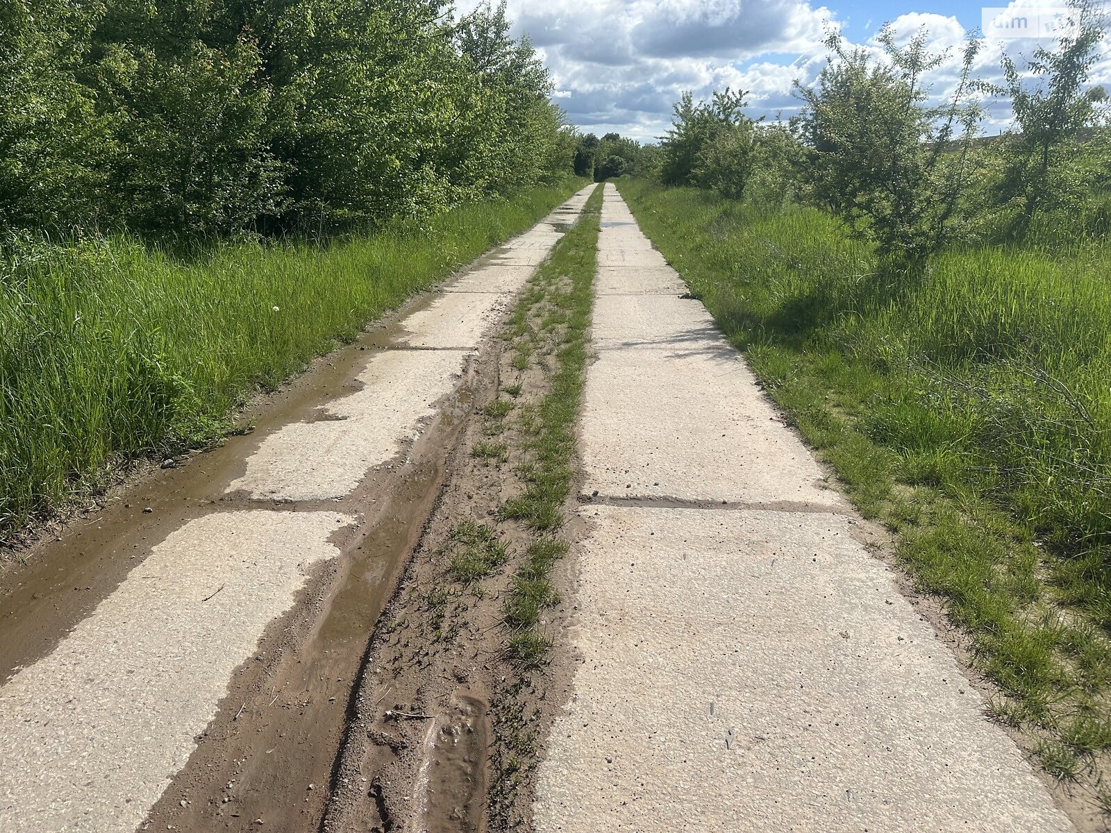 Земельна ділянка сільськогосподарського призначення в Якушинцях, площа 194 сотки фото 1 Земельна ділянка сільськогосподарського призначення в Якушинцях, площа 194 сотки фото 1