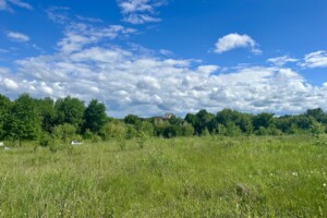 Земельна ділянка сільськогосподарського призначення в Якушинцях, площа 10 соток фото 2