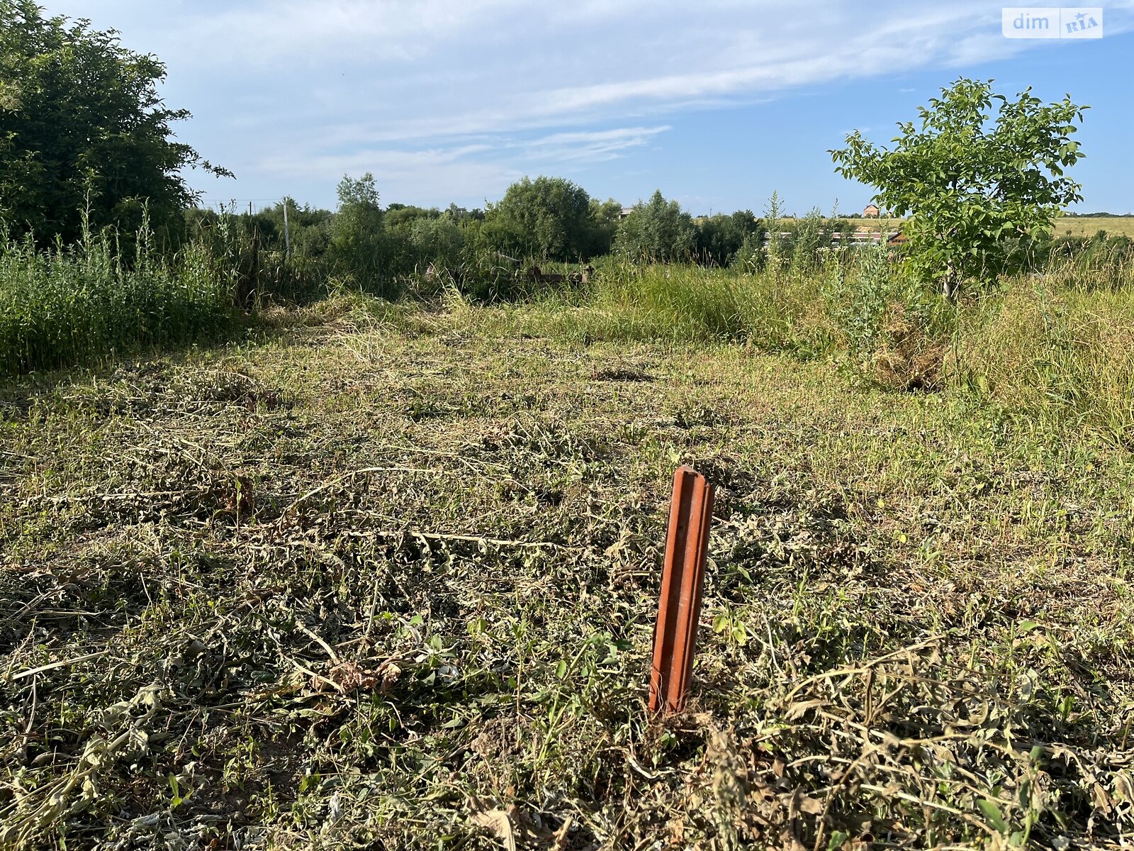 Земельна ділянка сільськогосподарського призначення в Якушинцях, площа 15 соток фото 1 Земельна ділянка сільськогосподарського призначення в Якушинцях, площа 15 соток фото 1