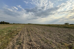 Земельна ділянка сільськогосподарського призначення в Бохониках, площа 8 соток фото 2