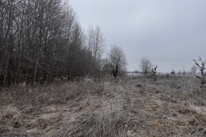 Земельна ділянка сільськогосподарського призначення в Якушинцях, площа 10 соток фото 2