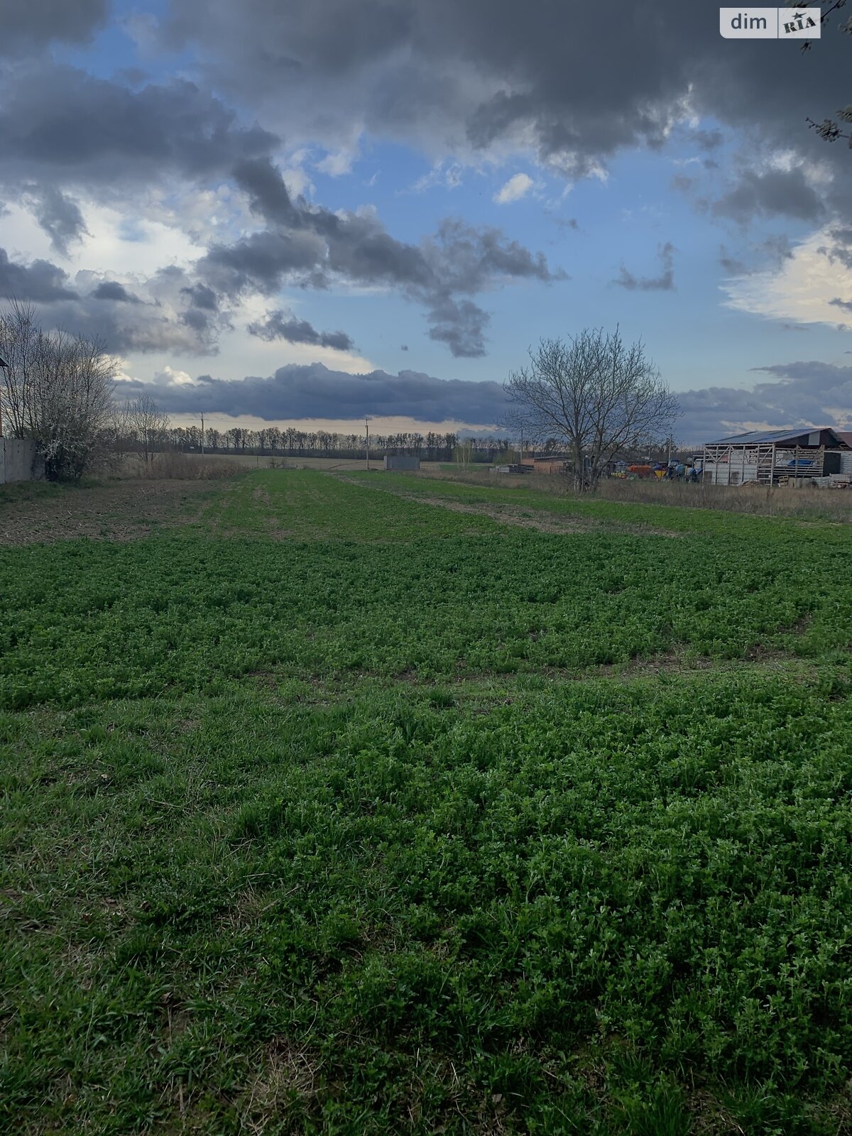 Земельный участок сельскохозяйственного назначения в Якушинцах, площадь 47 соток фото 1