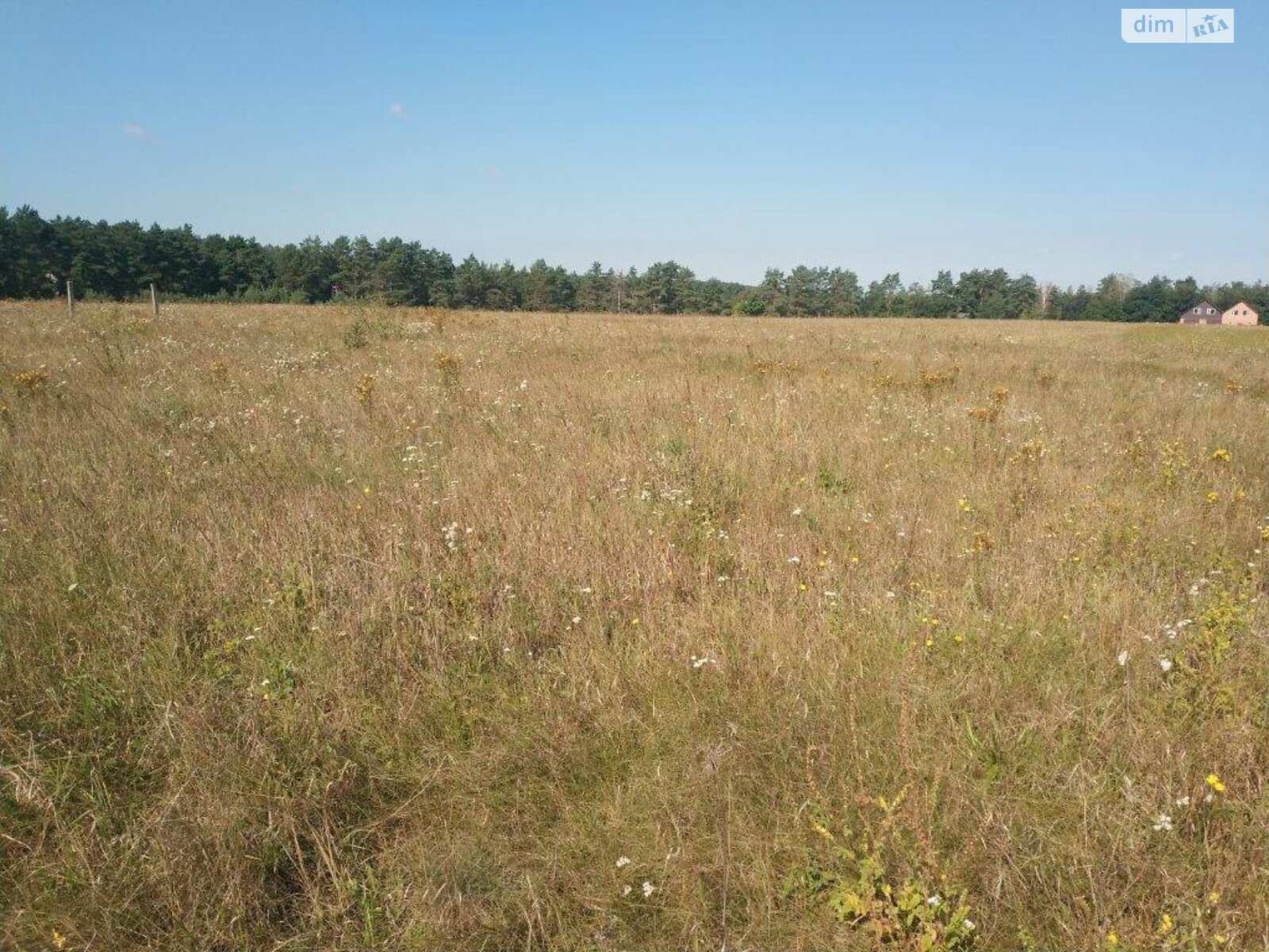 Земельный участок сельскохозяйственного назначения в Якушинцах, площадь 12 соток фото 1 Земельный участок сельскохозяйственного назначения в Якушинцах, площадь 12 соток фото 1