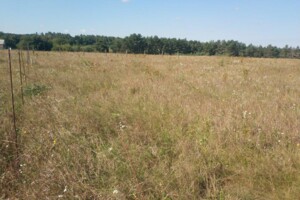 Земельный участок сельскохозяйственного назначения в Якушинцах, площадь 12 соток фото 2 Земельный участок сельскохозяйственного назначения в Якушинцах, площадь 12 соток фото 2