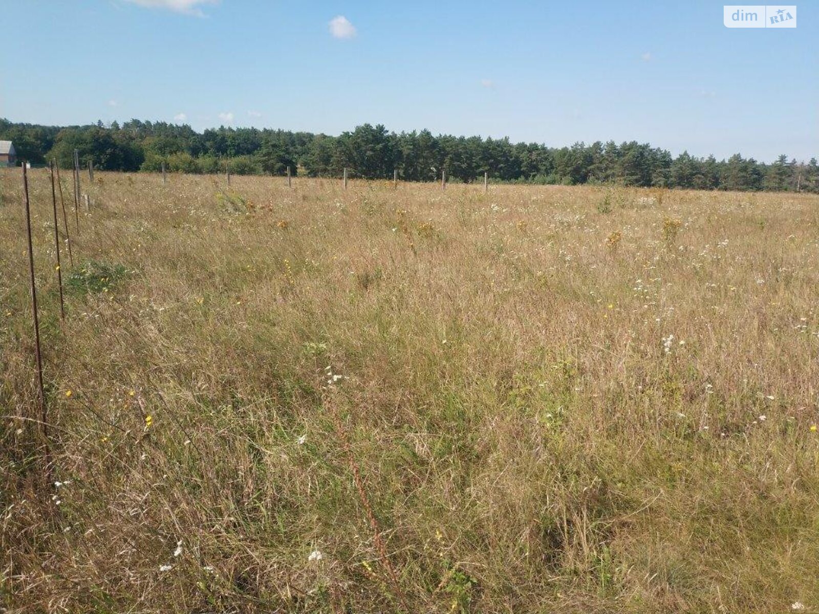 Земельный участок сельскохозяйственного назначения в Якушинцах, площадь 12 соток фото 1 Земельный участок сельскохозяйственного назначения в Якушинцах, площадь 12 соток фото 1