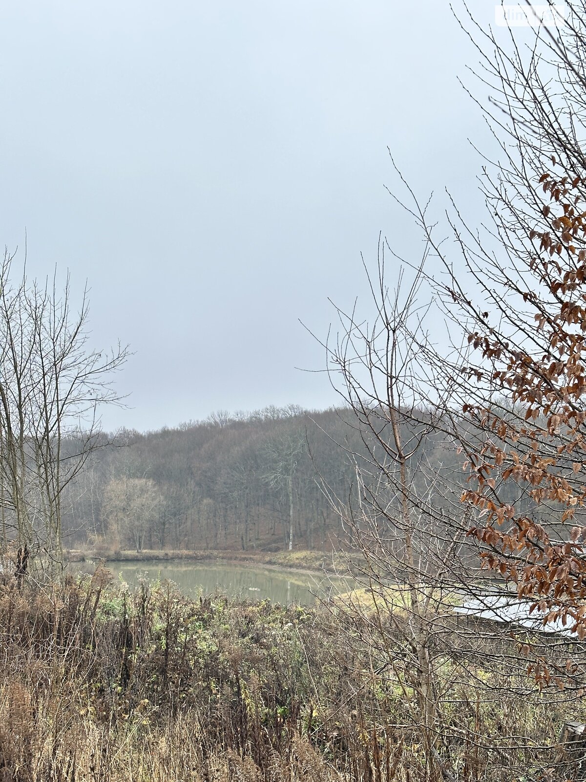 Земельный участок сельскохозяйственного назначения в Якушинцах, площадь 20 соток фото 1