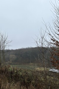 Земельный участок сельскохозяйственного назначения в Якушинцах, площадь 20 соток фото 2