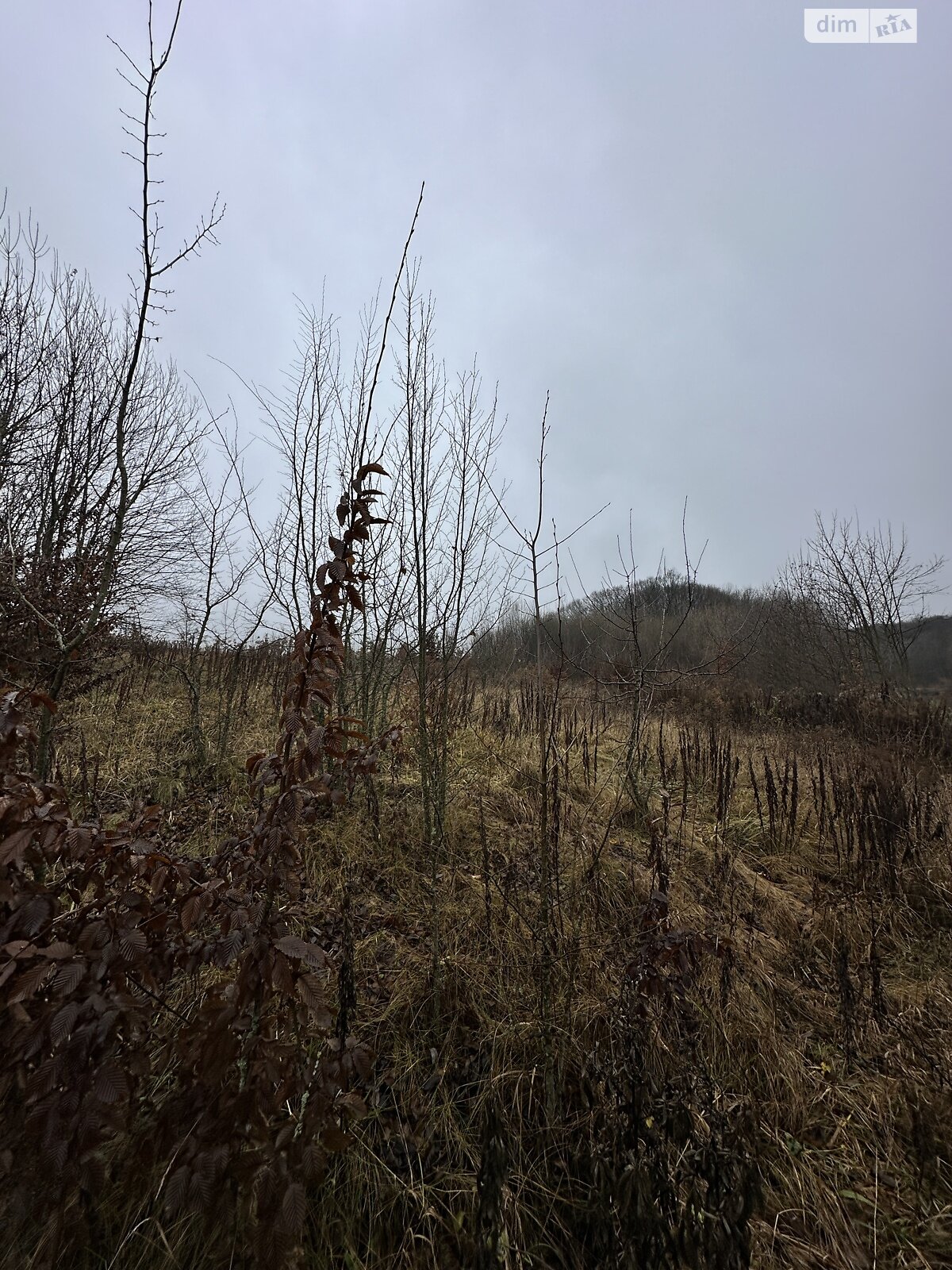 Земельный участок сельскохозяйственного назначения в Якушинцах, площадь 20 соток фото 1