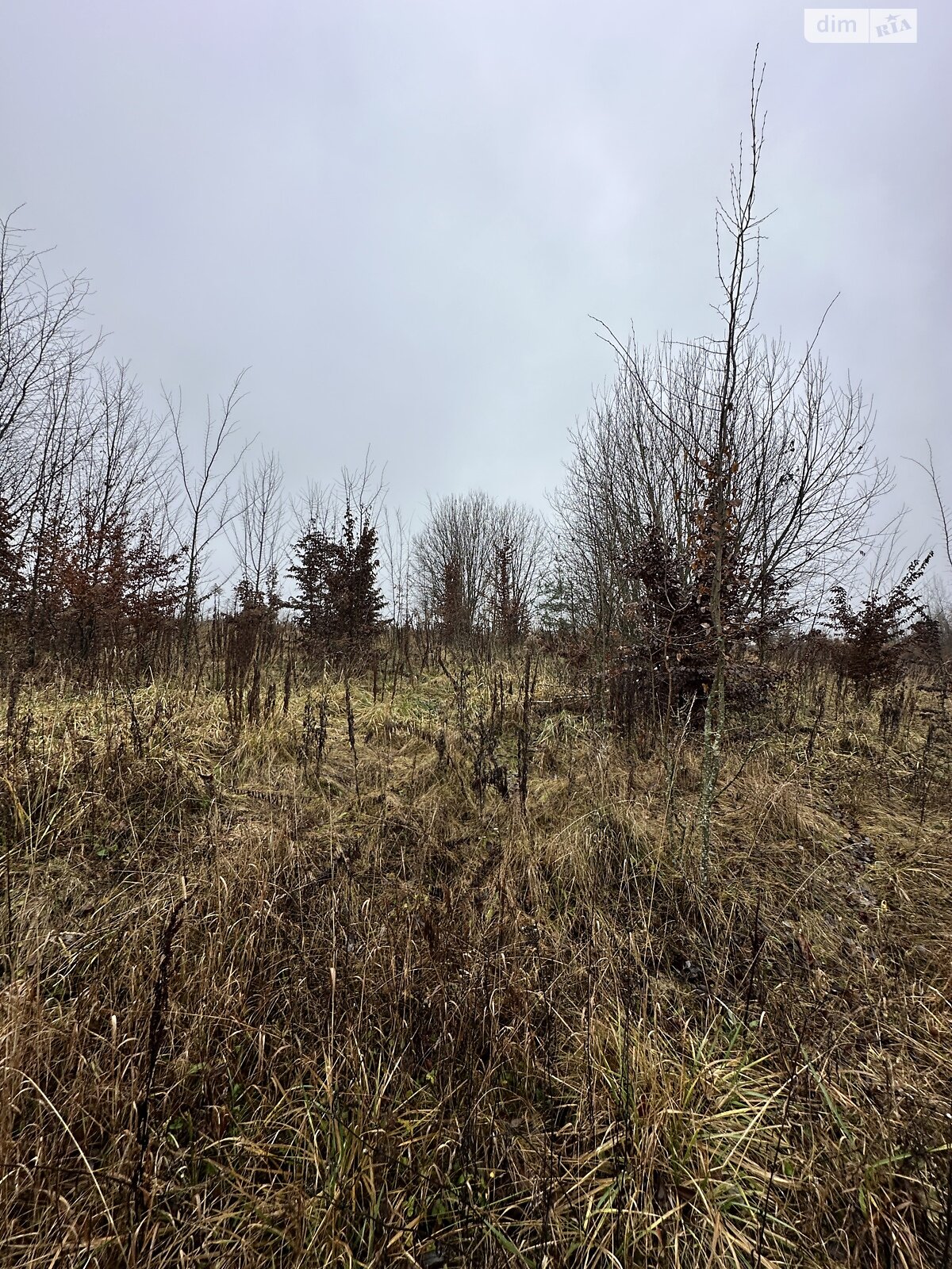 Земельный участок сельскохозяйственного назначения в Якушинцах, площадь 20 соток фото 1