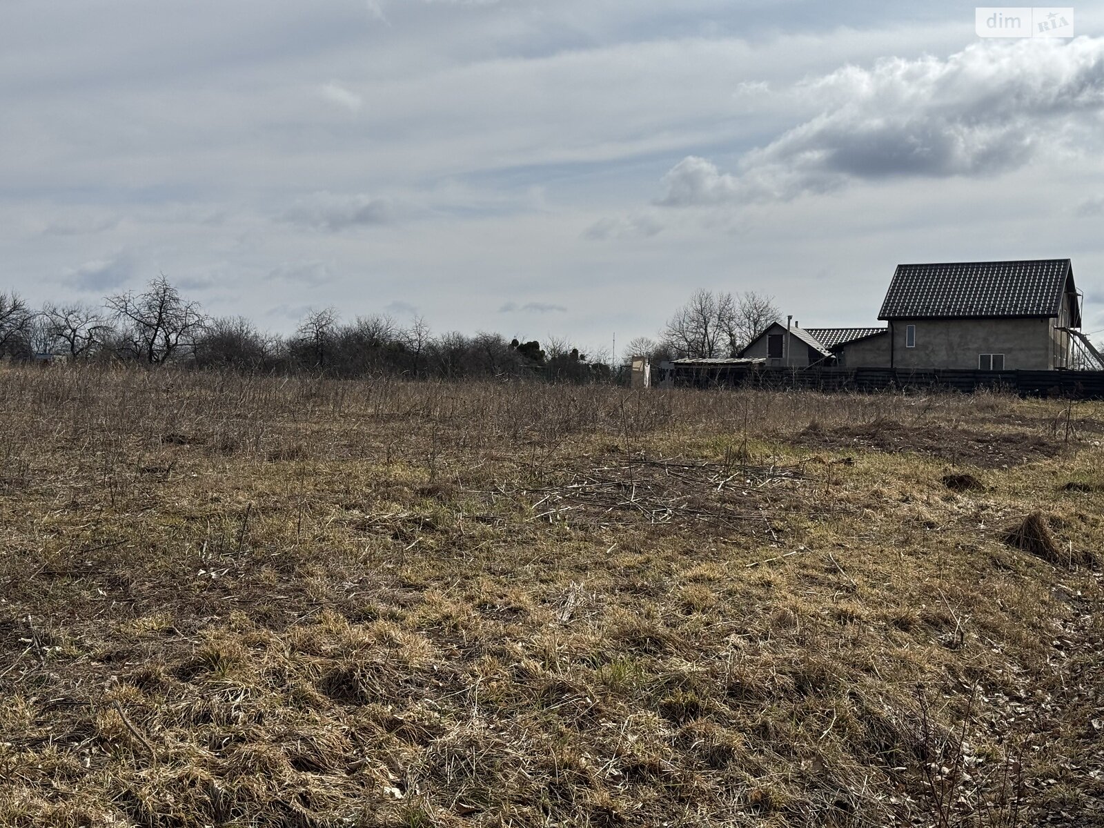 Земельна ділянка сільськогосподарського призначення в Якушинцях, площа 45 соток фото 1