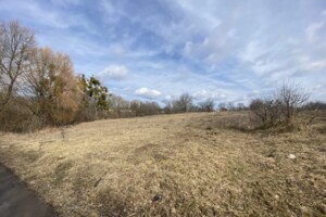 Земельна ділянка сільськогосподарського призначення в Якушинцях, площа 22 сотки фото 2