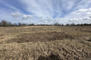 Земельна ділянка сільськогосподарського призначення в Якушинцях, площа 45 соток фото 2