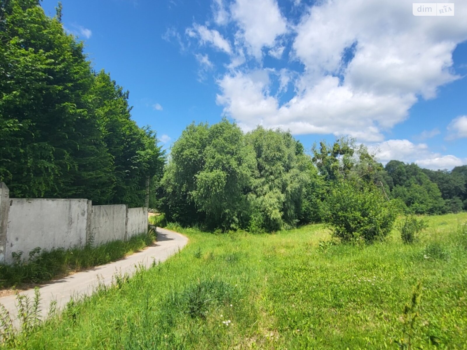 Земельна ділянка сільськогосподарського призначення в Якушинцях, площа 22 сотки фото 1 Земельна ділянка сільськогосподарського призначення в Якушинцях, площа 22 сотки фото 1