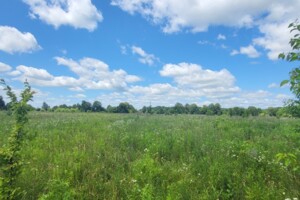 Земельный участок сельскохозяйственного назначения в Якушинцах, площадь 22 сотки фото 2