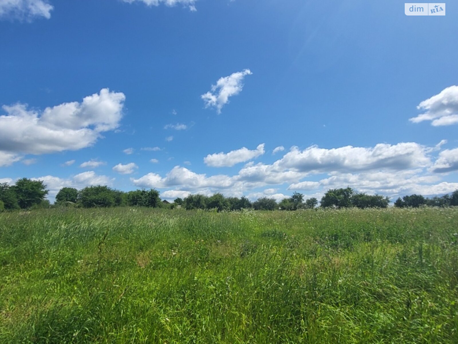 Земельна ділянка сільськогосподарського призначення в Якушинцях, площа 45 соток фото 1 Земельна ділянка сільськогосподарського призначення в Якушинцях, площа 45 соток фото 1