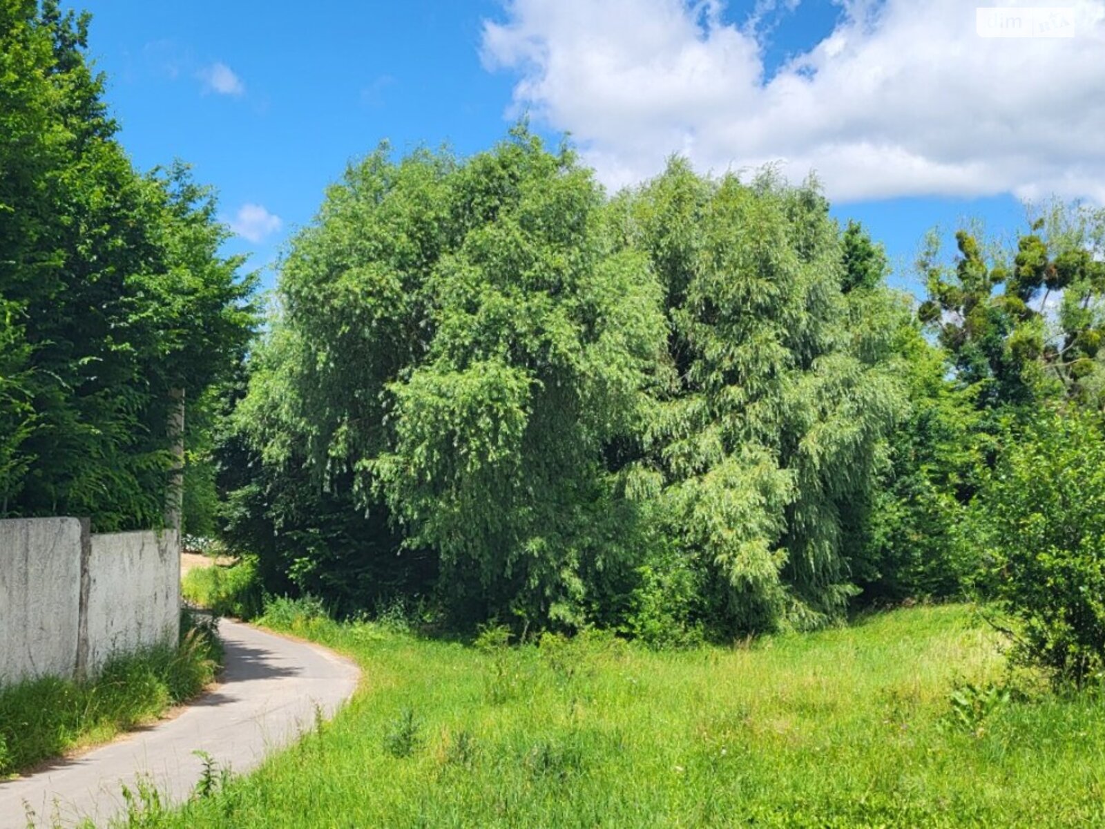 Земельна ділянка сільськогосподарського призначення в Якушинцях, площа 45 соток фото 1 Земельна ділянка сільськогосподарського призначення в Якушинцях, площа 45 соток фото 1