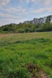Земельна ділянка сільськогосподарського призначення в Якушинцях, площа 15 соток фото 2