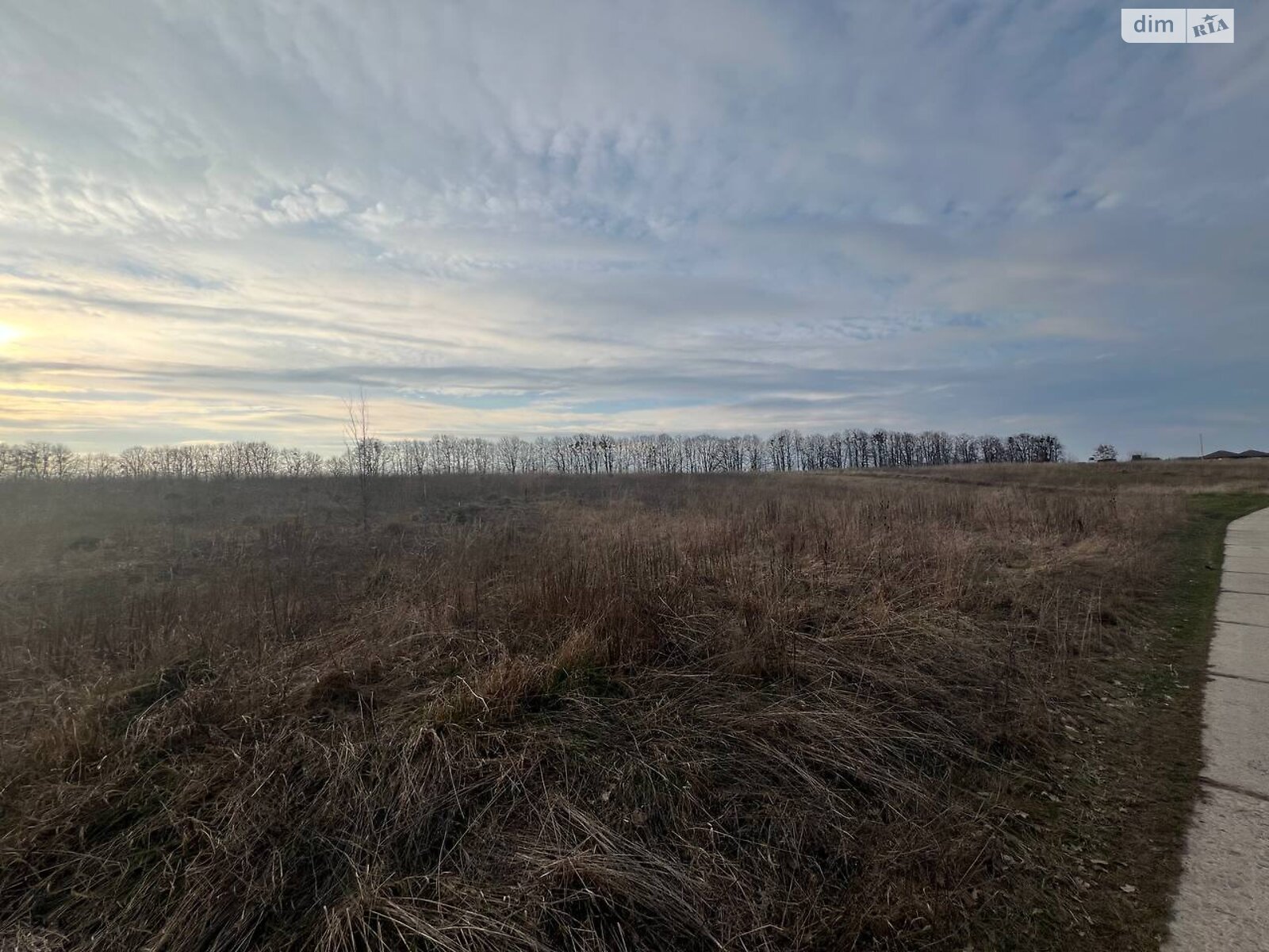 Земельна ділянка сільськогосподарського призначення в Якушинцях, площа 10 соток фото 1