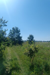 Земельный участок сельскохозяйственного назначения в Якушинцах, площадь 70 соток фото 2