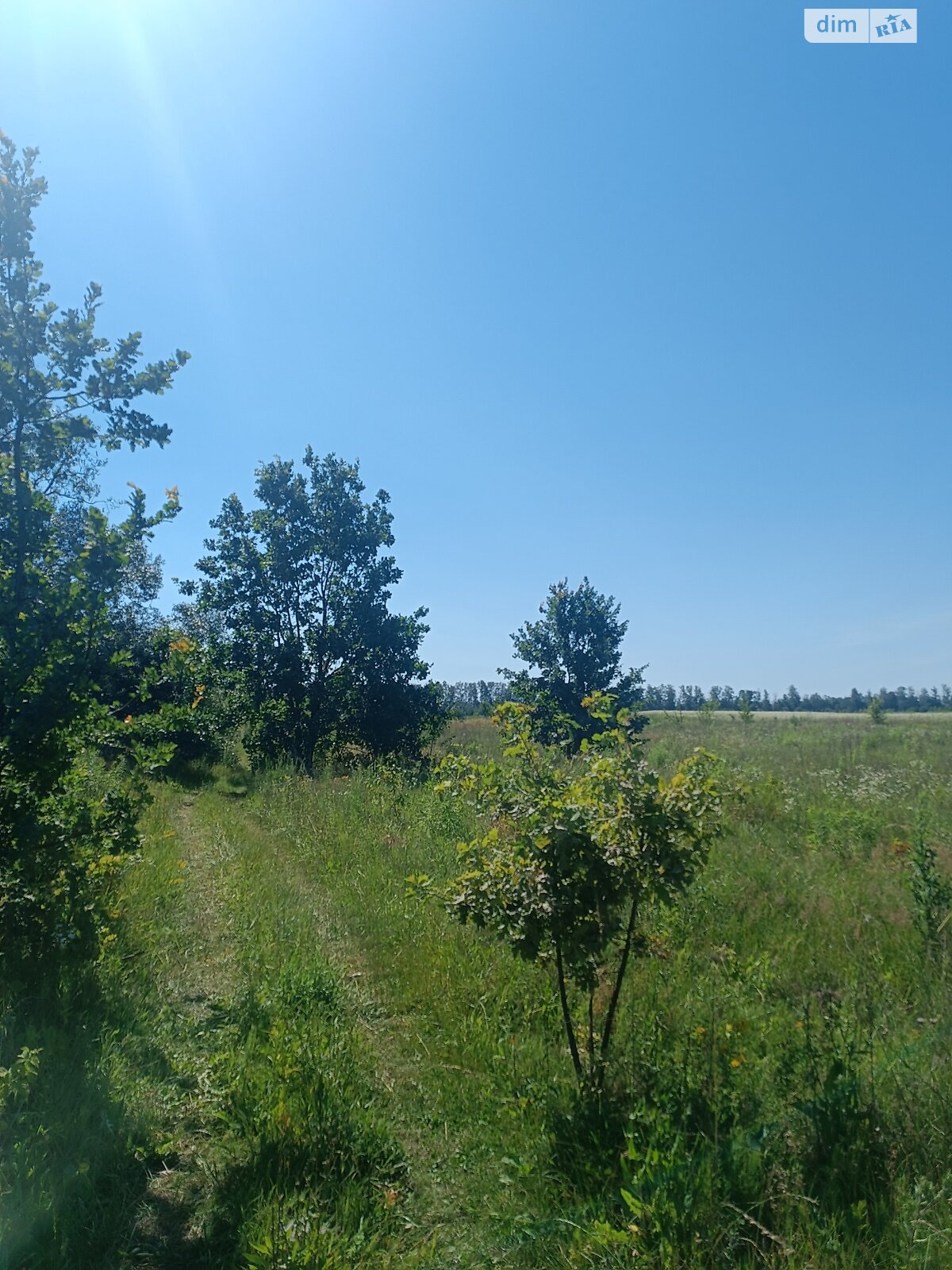 Земельна ділянка сільськогосподарського призначення в Якушинцях, площа 70 соток фото 1 Земельна ділянка сільськогосподарського призначення в Якушинцях, площа 70 соток фото 1