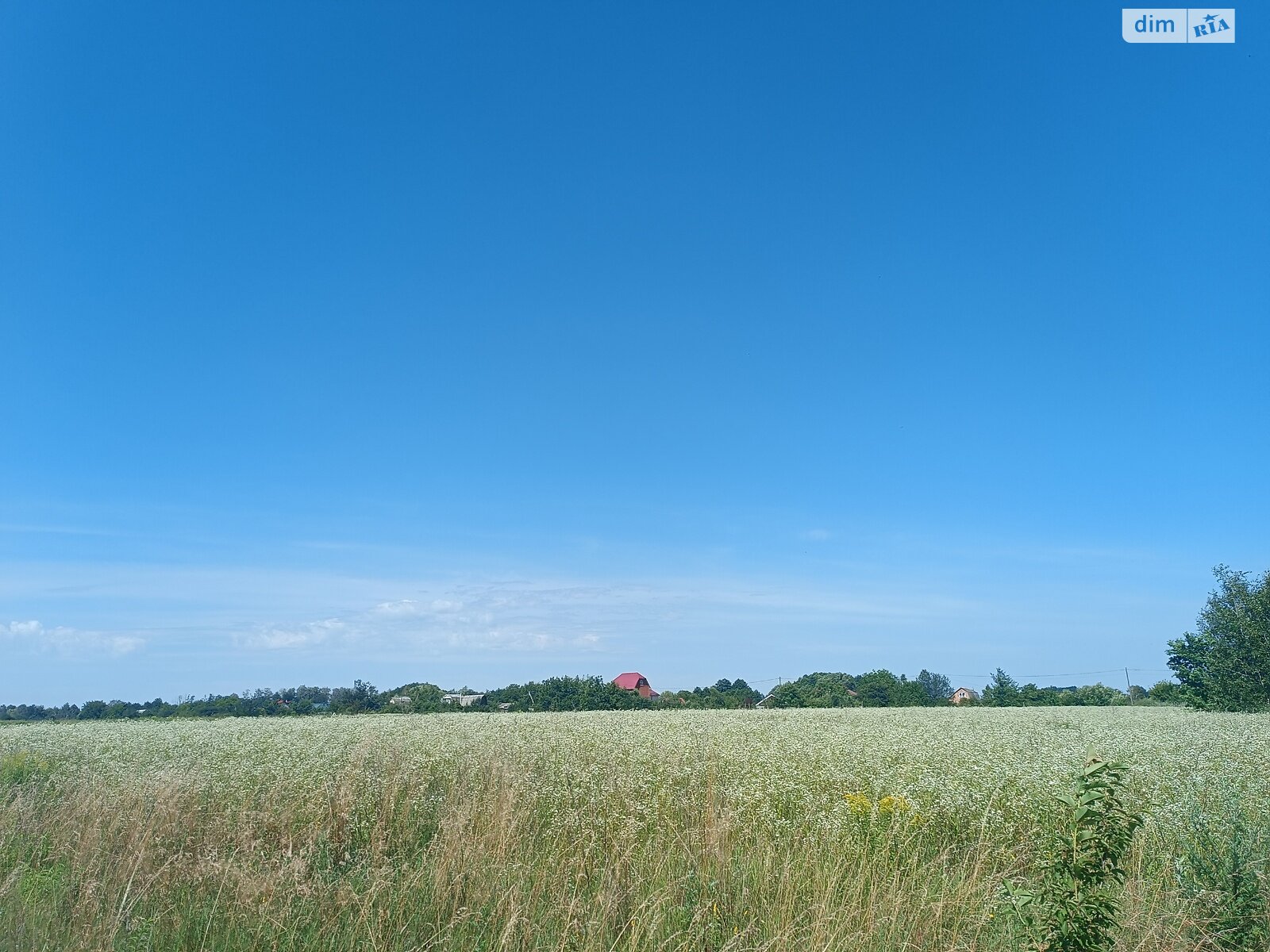 Земельный участок сельскохозяйственного назначения в Якушинцах, площадь 70 соток фото 1