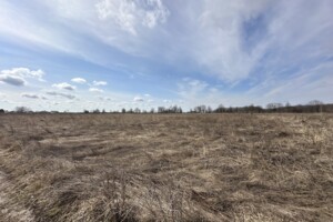 Земельна ділянка сільськогосподарського призначення в Якушинцях, площа 20 соток фото 2