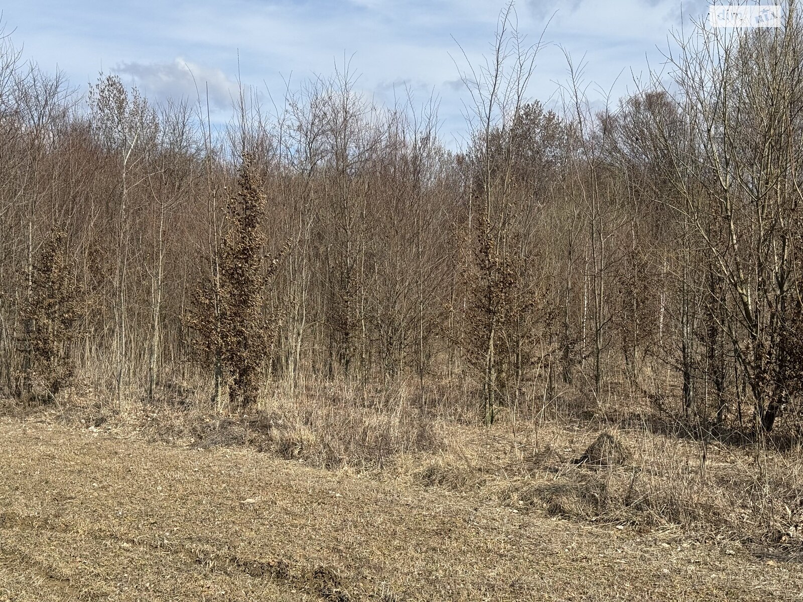 Земельна ділянка сільськогосподарського призначення в Якушинцях, площа 9.6 сотки фото 1