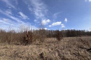 Земельна ділянка сільськогосподарського призначення в Якушинцях, площа 9.6 сотки фото 2