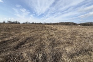 Земельна ділянка сільськогосподарського призначення в Якушинцях, площа 20 соток фото 2