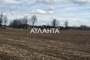 Земельна ділянка сільськогосподарського призначення в Якушинцях, площа 10 соток фото 3