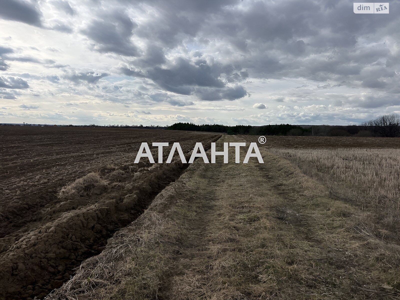 Земельна ділянка сільськогосподарського призначення в Якушинцях, площа 10 соток фото 1 Земельна ділянка сільськогосподарського призначення в Якушинцях, площа 10 соток фото 1