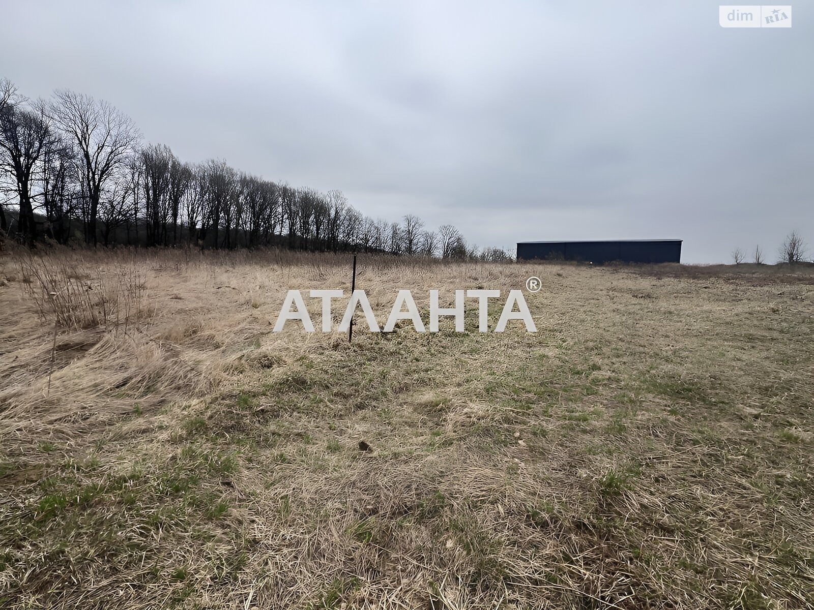 Земельный участок сельскохозяйственного назначения в Якушинцах, площадь 20 соток фото 1 Земельный участок сельскохозяйственного назначения в Якушинцах, площадь 20 соток фото 1