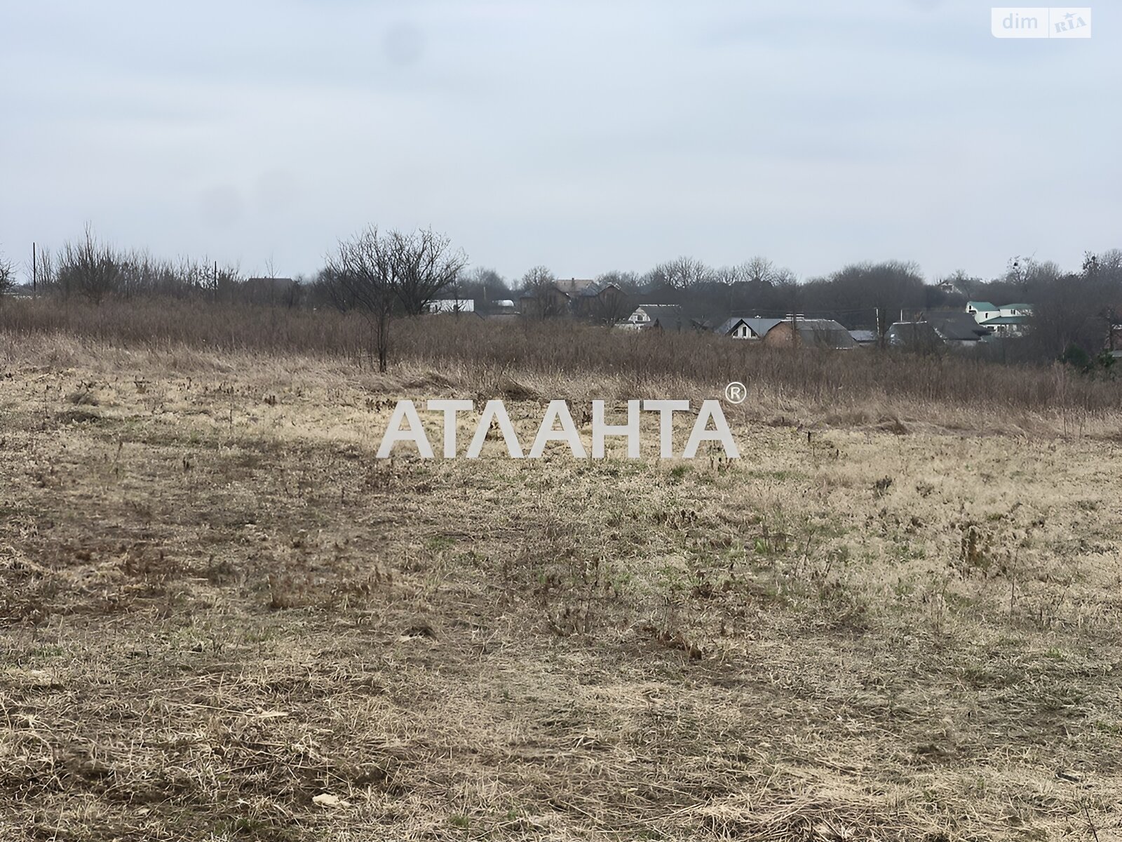 Земельный участок сельскохозяйственного назначения в Якушинцах, площадь 20 соток фото 1 Земельный участок сельскохозяйственного назначения в Якушинцах, площадь 20 соток фото 1