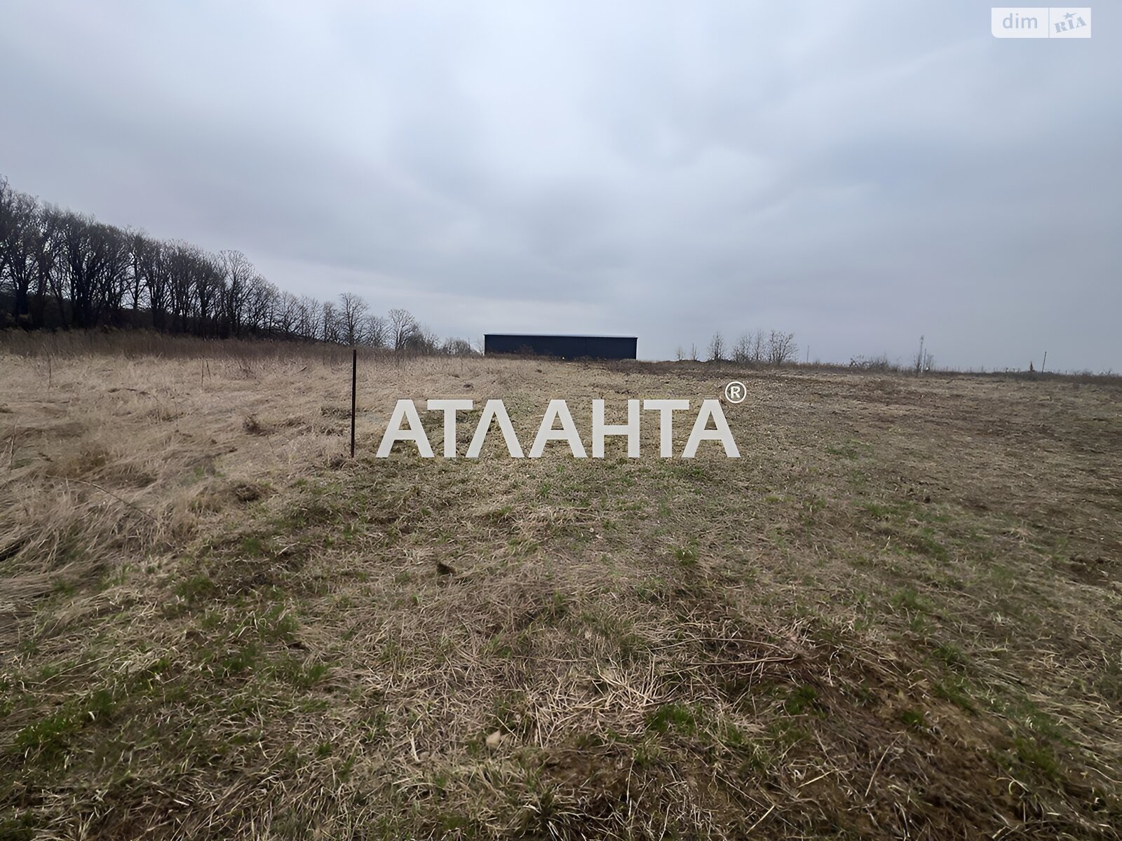 Земельный участок сельскохозяйственного назначения в Якушинцах, площадь 20 соток фото 1 Земельный участок сельскохозяйственного назначения в Якушинцах, площадь 20 соток фото 1
