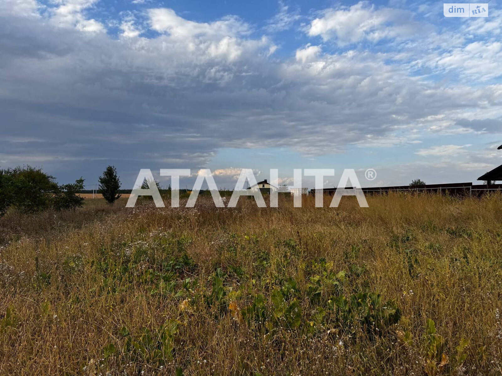 Земельный участок сельскохозяйственного назначения в Якушинцах, площадь 10 соток фото 1 Земельный участок сельскохозяйственного назначения в Якушинцах, площадь 10 соток фото 1
