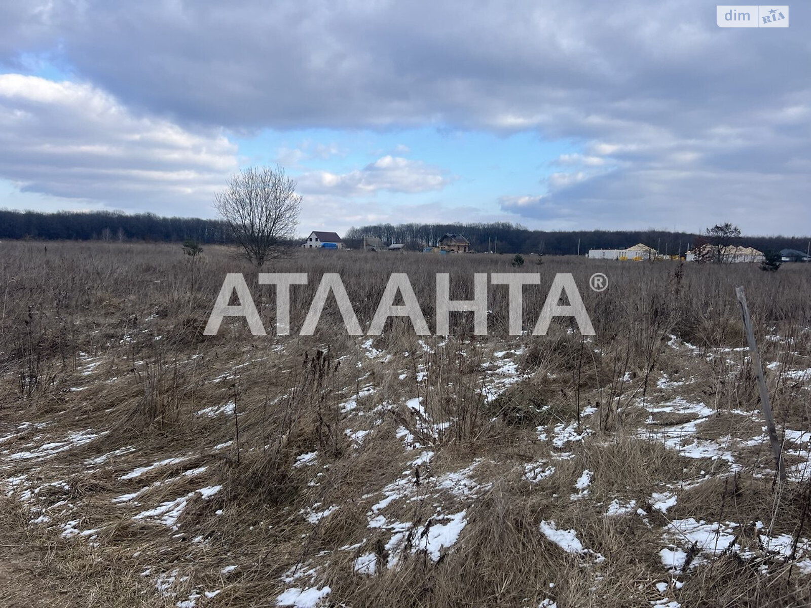Земельна ділянка сільськогосподарського призначення в Якушинцях, площа 10 соток фото 1 Земельна ділянка сільськогосподарського призначення в Якушинцях, площа 10 соток фото 1