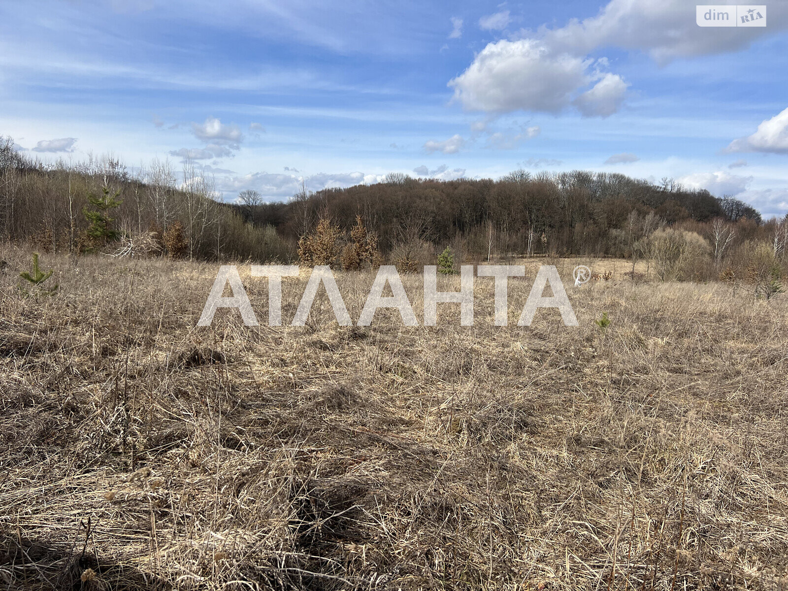 Земельна ділянка сільськогосподарського призначення в Якушинцях, площа 10 соток фото 1 Земельна ділянка сільськогосподарського призначення в Якушинцях, площа 10 соток фото 1