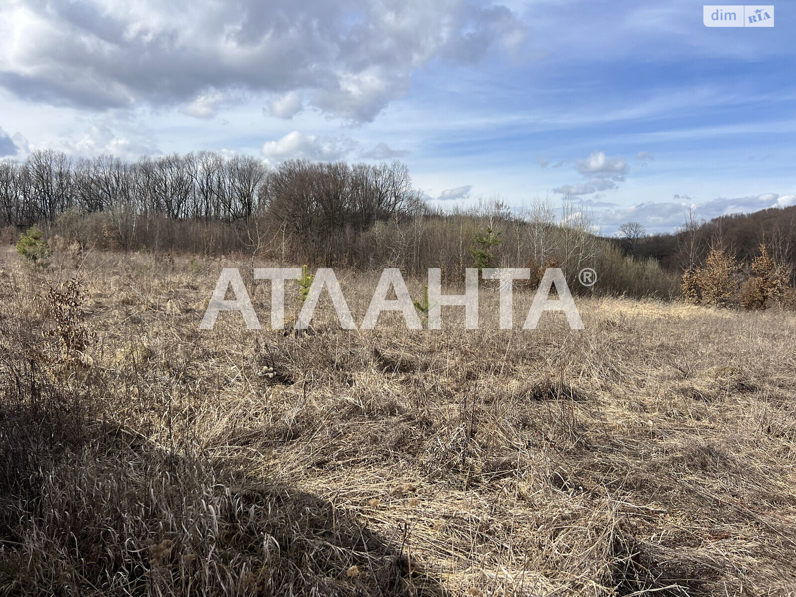 Земельна ділянка сільськогосподарського призначення в Якушинцях, площа 10 соток фото 1 Земельна ділянка сільськогосподарського призначення в Якушинцях, площа 10 соток фото 1